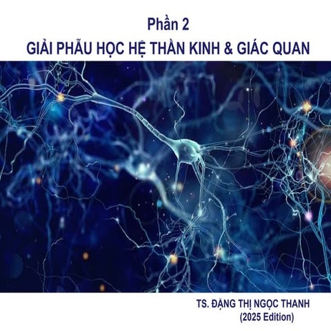 Presentation2-Giải phẫu học Hệ thần kinh, Nội tiết và Giác quan.ppt