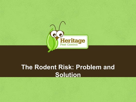 The Rodent Risk: Problem and Solution