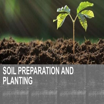 SOIL PREPARATION AND PLANTING​