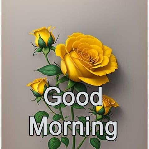 Presentation2_103241.pptx the name is the best