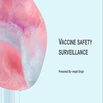 Presentation 2 (2).pptx