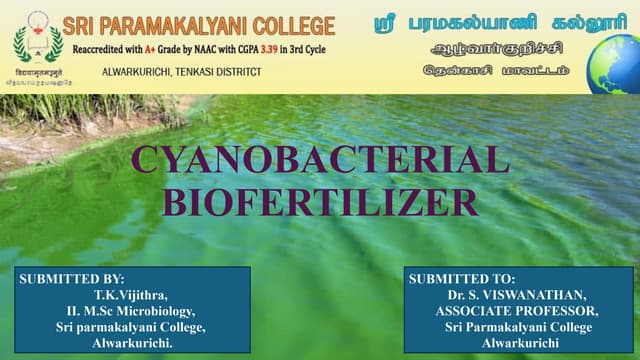 CYANOBACTERIAL BIOFERTILIZER-Nostoc, Anabaena, Hapalosiphon