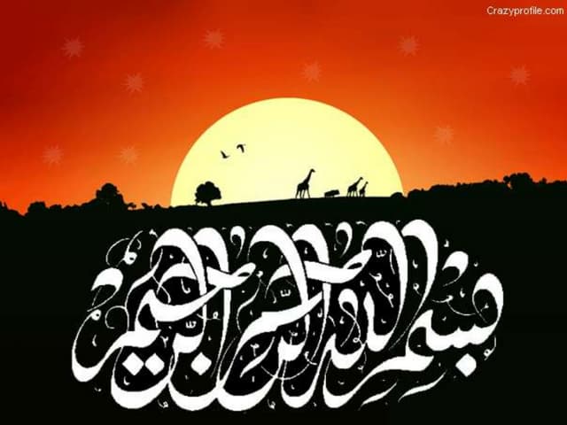 textile biodegradation