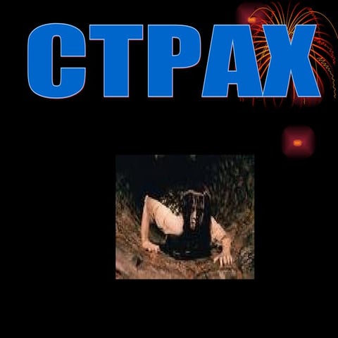 Presentation29 | PPT