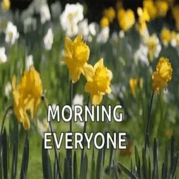 SCIENCE - THE PLANT LIFE CYCLE (CLASS V)