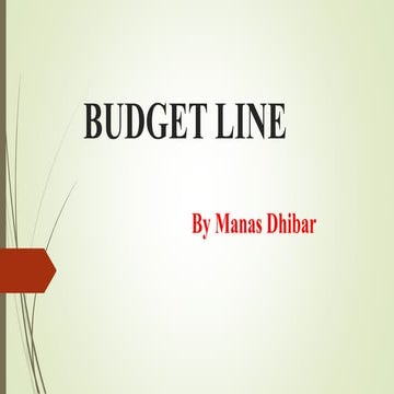 Budget Line