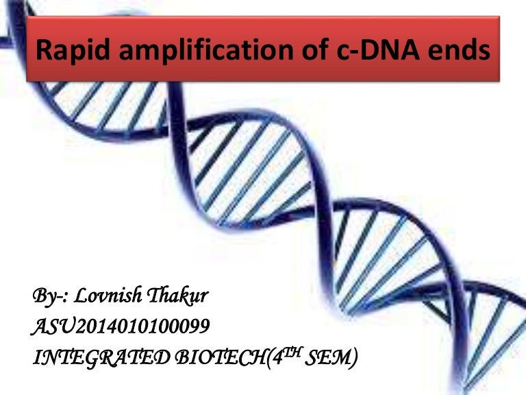 Rapid amplification of cDNA ends