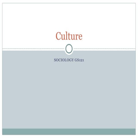 Presentation2 (culture)