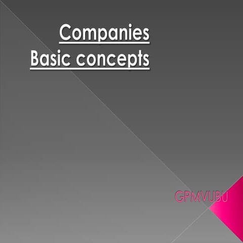 Companies: a few basic concepts