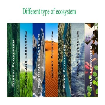 Presentation_2_Lecture.pdf ecosystemsvcs