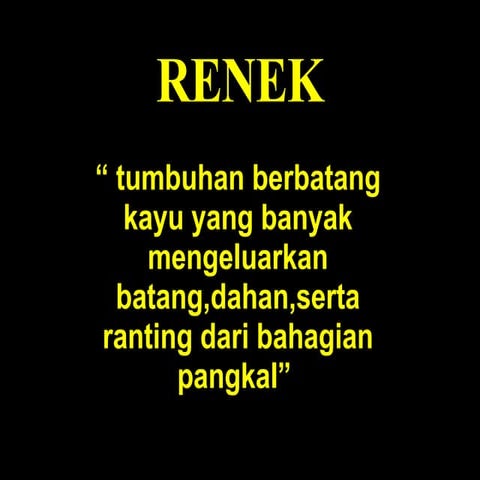 ALN 103.tumbuhan Hiasan Kumpulan Renek