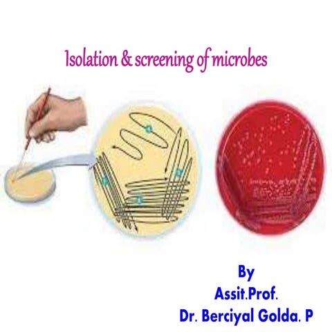  Isolation & screening of microbes.pptx