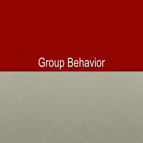 group behiaour