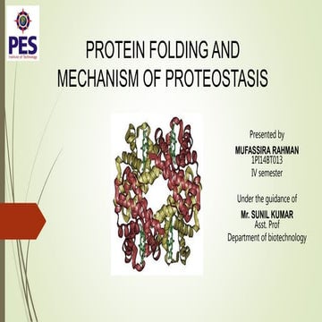 Protein folding and proteostasis