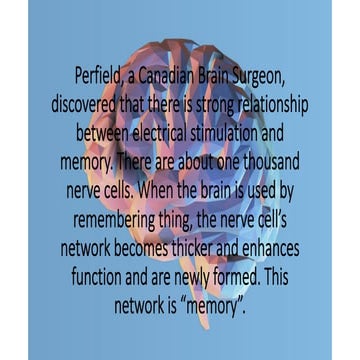 Brain Facts | PPT
