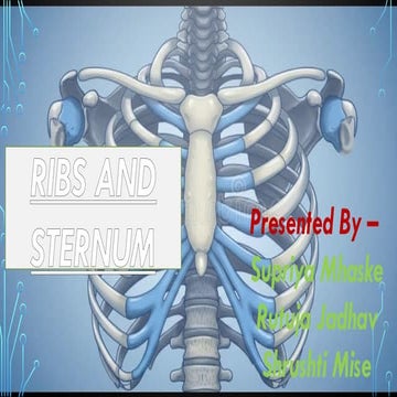 Human_Sternum_Anatomy_Presentation1.pptx