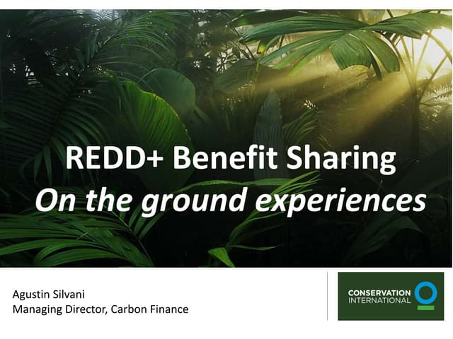 Day 1.Presentation 3. augustin silvani