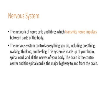 Nervous System,Neuron, Glial cells
