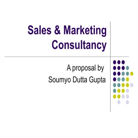 Sales and Marketing Consultancy