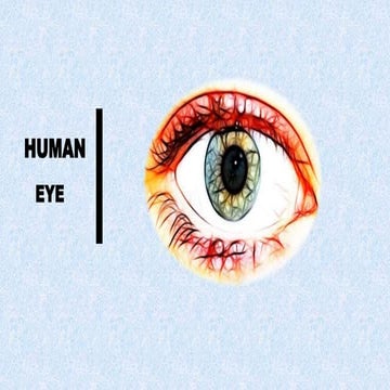  Human Eye