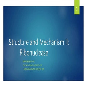 Presentation (4).pptx