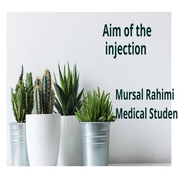 Presentation (4).pptx in power point show