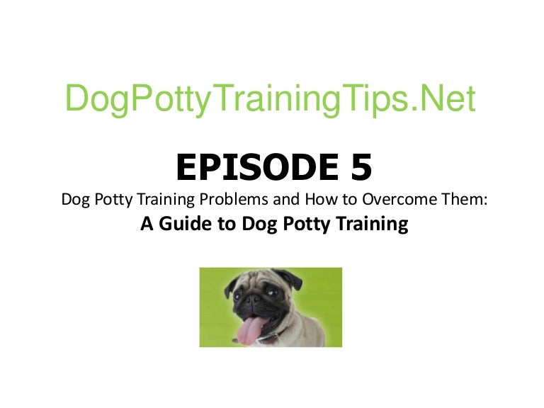 Dog Potty Training Tips; the Weewee Side of Puppy Power