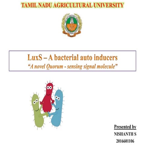 Microbial Quorum Sensing - lux S
