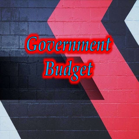 Government Budget