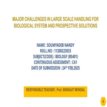 Bhasha_Bandhu_Sample_presentation_2.pptxFESGEWGASGASFASFASFAS