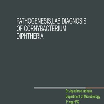 Pathogenesis and Laboratory Diagnosis of Corynebacterium Diphtheriae | PPTX
