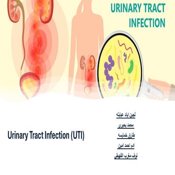 CASE PRESENTATION ON URINARY TRACT INFECTION WITH TYPE 2 DIABETES.pptx