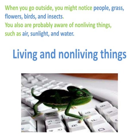 Ecosystems Science Kids