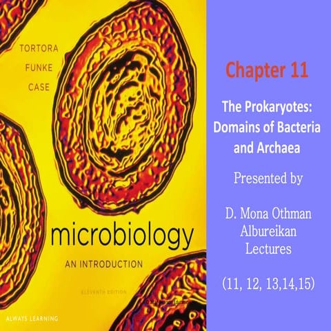 Presentation 6 (Open download) 