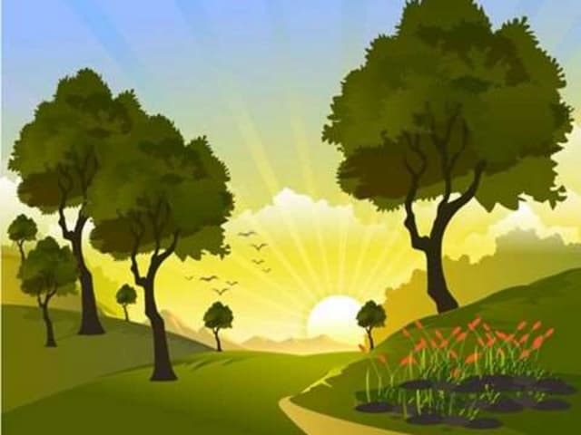 Graphic Design work.