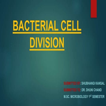 bacterial cell division