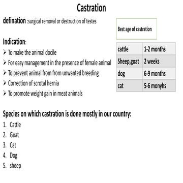 Castration of animal .pptx