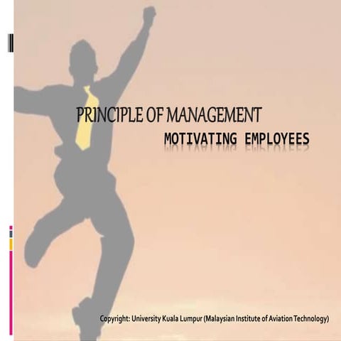 Principle of Management - Motivating Employees