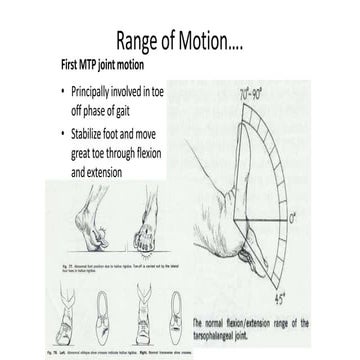 Presentation6 foot 9.pptx