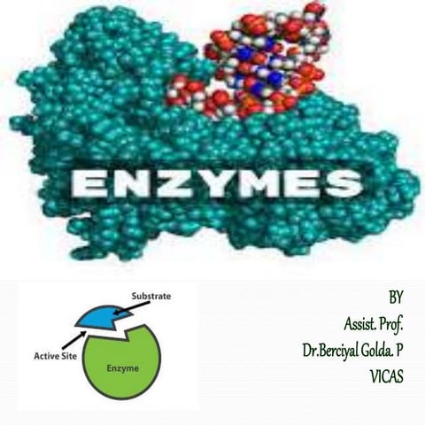  Enzymes.pptx