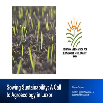 Sowing Sustainability: A Call to Agroecology in Luxor