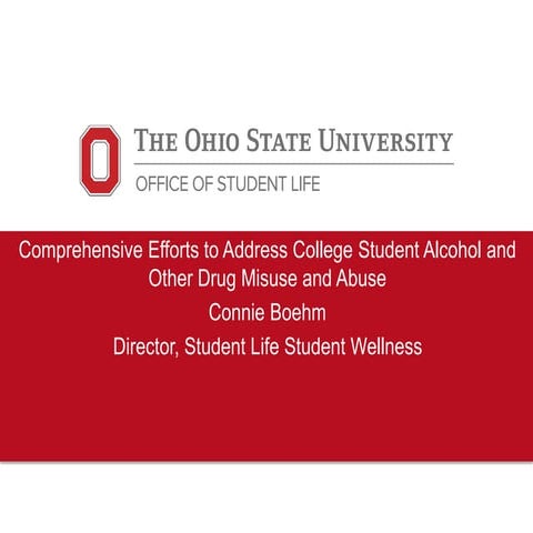 Comprehensive Efforts to Address College Student Alcohol and Other Drug Misuse and Abuse 