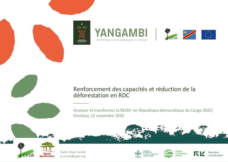 thumbnail of  Renforcement des capacités et réduction de la déforestation en RDC