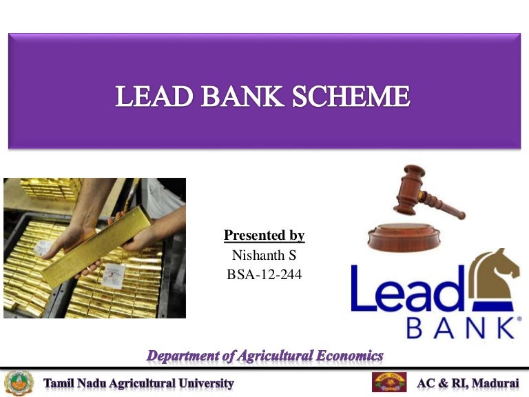 Lead Bank Scheme