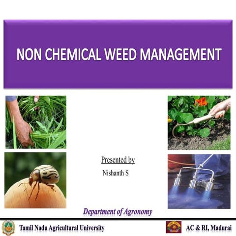 Non Chemical Weed Control