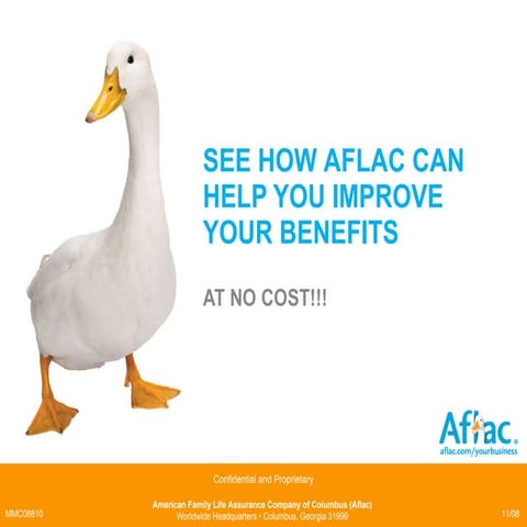Presentationaflac2010 12693100429114 Phpapp02