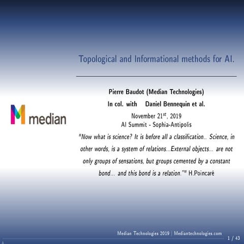 Topological and Informational Methods for AI
