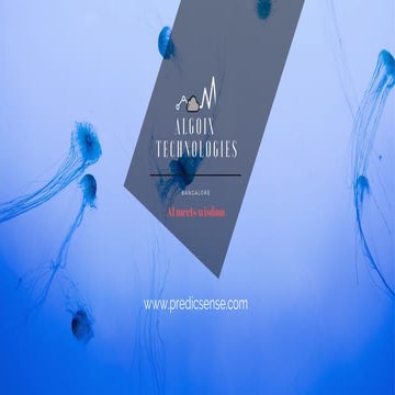 Presentation of ongoing fintech product development