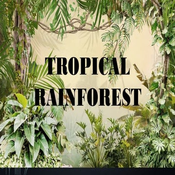 Powerpoint Presentation About Rain Forest