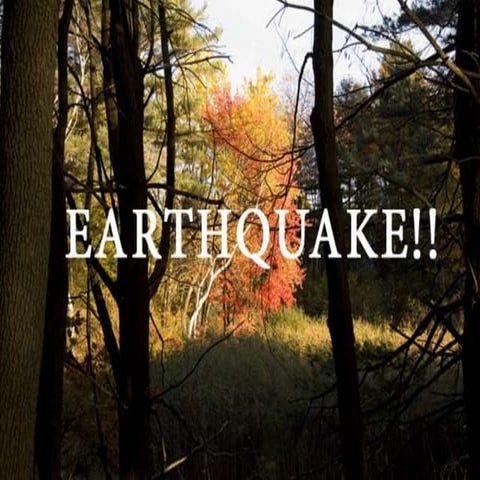 Presentation with case study on earhquake 